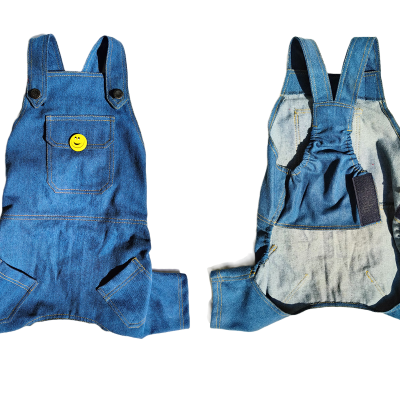 DD2-DENIM-DUNGAREE-2-1