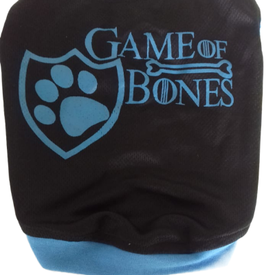 DT1-BLUE-GAME-OF-BONES