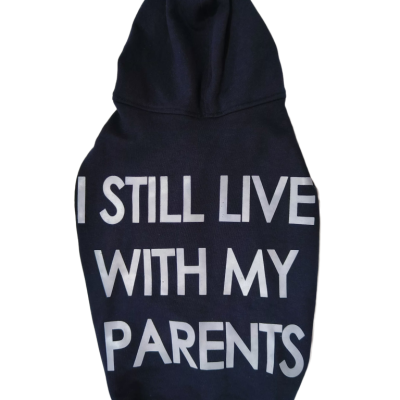 DWT2-BLUE-LIVE-WITH-PARENTS-HOODIE-2