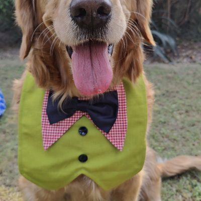 Dog-Bandana